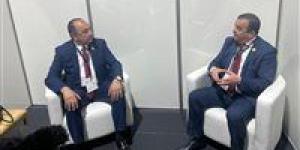 مصر والجزائر تبحثان توسيع آفاق التعاون الاستثماري بقطاعات الطاقة والتعدين والأسمدة