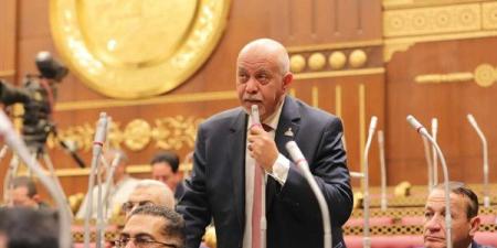 اقتراح برلماني بإنشاء منطقة حرة لجذب استثمارات العاملين بالخارج والمهاجرين المصريين