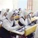 الآن جدول امتحانات الصف الثاني الإعدادي الترم الثاني 2025 القليوبية