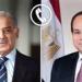 السيسي ورئيس الوزراء الباكستاني يؤكدان ضرورة الوقف الفوري لإطلاق النار بغزة