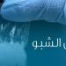 أهالي سيدي غازي بكفر الشيخ يستغيثون: "أنقذوا أولادنا من تجار الشابو"