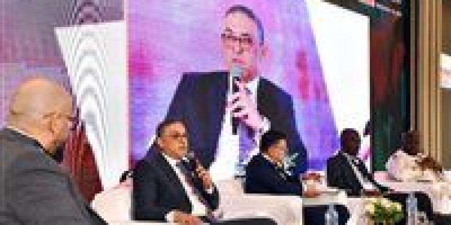 حسام هيبة: الحكومة تعد استراتيجيات مستدامة للتكامل الاستثماري والتجاري مع الدول الأفريقية