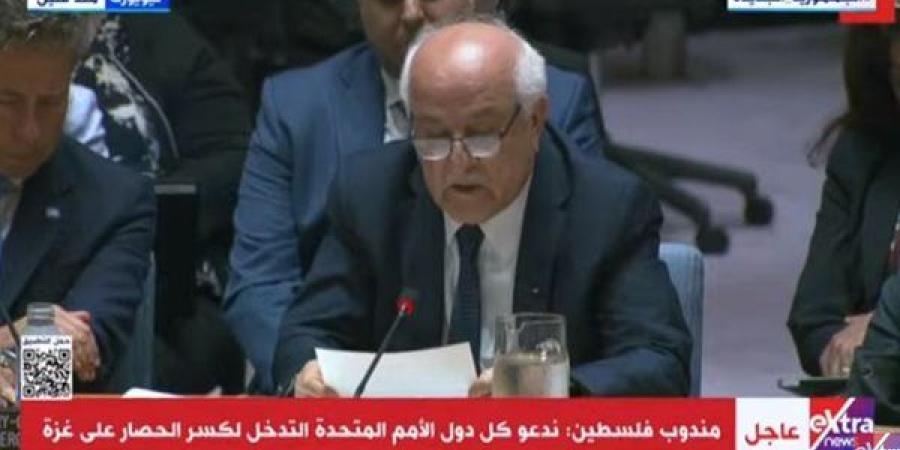 مندوب فلسطين بمجلس الأمن: الدمار والموت هو ما تسعي إسرائيل نشرة بشكل متعمد وبوقاحة