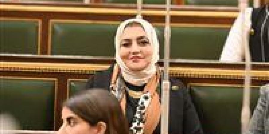 تحرك برلماني بشأن قرار إغلاق الشقق المؤجرة لبيوت ومراكز الثقافة