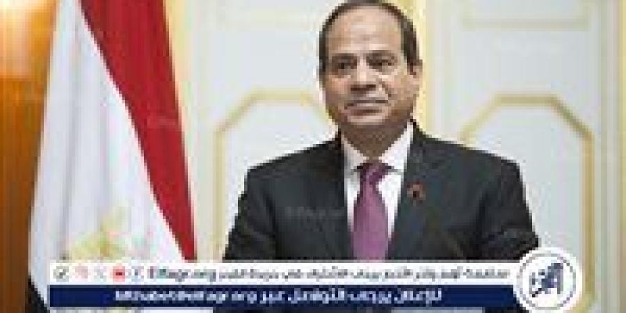 رئيس الوزراء الباكستاني يثمن جهود مصر في التهدئة ووقف الحرب مع الهند