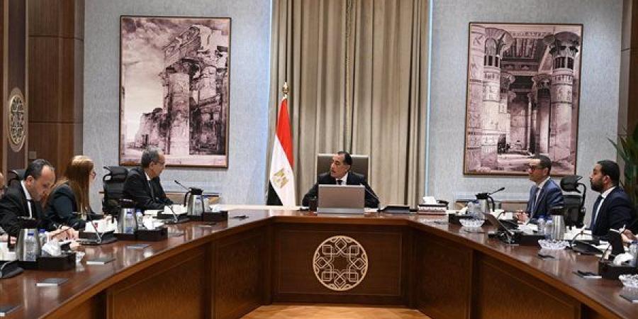 مدبولي: قطاع الاتصالات ركيزة أساسية في استراتيجية الطروحات لتعزيز الاقتصاد الرقمي