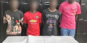 ضبط 3 متهمين أجانب سرقوا هاتف أجنبي الجنسية بمدينة نصر