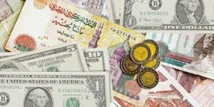 ضبط 33 ألف دولار و200 ألف ريال بحوزة متهمين بالإتجار بالنقد الأجنبي بالدقهلية
