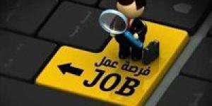 براتب يصل لـ 7500 جنيه.. وزارة العمل تعلن توفير 700 فرصة عمل