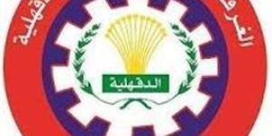 "غدا " فتح باب تلقى طلبات إعادة تشكيل مجالس إدارات ٥١ شعبة نوعية بغرفة الدقهلية
