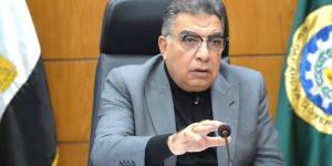 محافظ الدقهلية: رفع 980 طن مخلفات بلدية ونواتج هدم ...