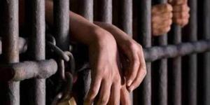 المشدد 5 سنوات لشخصين في التنقيب عن الآثار بعين شمس
