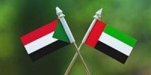 الإمارات: نرفض قرار "سلطة بورتسودان" ولا تمثل الحكومة الشرعية