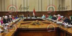 تضامن النواب توافق على موازنة المجلس القومي لذوي الإعاقة للعام المالي 2025/2026