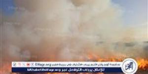 للمرة الثانية اليوم.. حريق هائل في مخزن كتان بالغربية