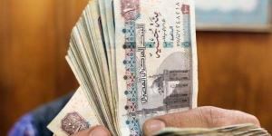الفئات المسموح لها الجمع بين معاشين.. زيادة تصل إلى 30%