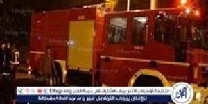 نفوق 110 رأس أغنام وتفحم 6 أشجار نخيل إثر حريق هائل  بالمنيا