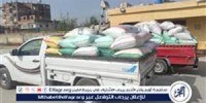 توريد 108 ألف طن قمح بشون وصوامع البحيرة (صور)