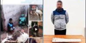 الداخلية تضبط راعي أغنام لاعتداءه على كلاب ضالة في البحيرة