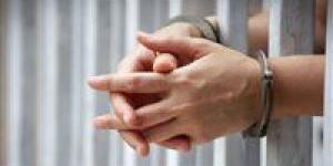 20 مايو.. أولى جلسات محاكمة مالك كلب بيتبول قتل آخر بالمنيل