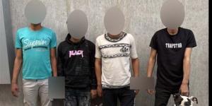 صراع الثأر يتحول لإطلاق نار.. ضبط عصابة مسلحة بعد مشاجرة دموية ببولاق الدكرور| تفاصيل