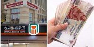 بعائد ثابت 19.5%... أعلى عائد على شهادات الادخار في ظل انخفاض سعر الفائدة