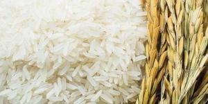 قفزة في سعر طن الأرز اليوم الإثنين عند التاجر.. اعرف وصلت لكام