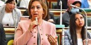 تهديد للوعي والإبداع.. تحرك برلماني بشأن إغلاق قصور وبيوت الثقافة