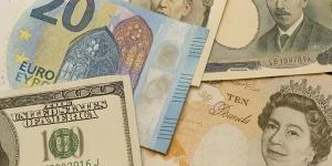 أسعار العملات الأجنبية أمام الجنيه اليوم الثلاثاء 13-5-2025 في البنك المركزي المصري