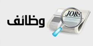 برواتب تتخطى الـ 80 ألف جنيه.. «العمل» تعلن عن توفر عمل للمصريين بالسعودية