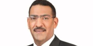 نائب الشيوخ: مصر تتحرك بثقلها الإقليمي لوقف الحرب بغزة