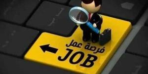 فرص عمل متنوعة في مصر.. التقديم للوظائف الجديدة متاح الآن