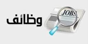 فرصة عمل مميزة في بنك قناة السويس.. "التفاصيل وكيفية التقديم"