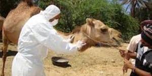 معلومات عن متلازمة الشرق الأوسط التنفسية.. تدابير الوقاية