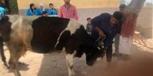 الكشف علي 985 حالة في قافلة بيطرية مجانية بقرية أبو عليوة الشرقية بكفر الشيخ