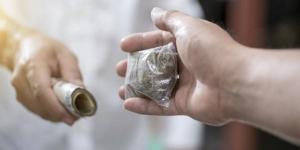 ضبط شخص بحوزته مخدرات في البرلس