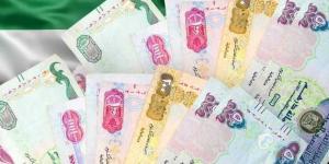 سعر الدرهم الإماراتي مقابل الجنيه اليوم الأحد 18 مايو 2025