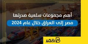 أهم مجموعات سلعية صدرتها مصر إلى العراق خلال عام 2024