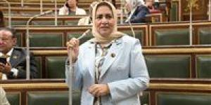 سحر صدقى: قمة بغداد تستهدف تعزيز التكامل ولم الشمل العربي وإنهاء الصراع فى قطاع غزة