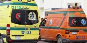 سلعوة تعقر 8 أطفال بحي الصوفي في الفيوم.. والأهالي يطالبون بالتدخل العاجل