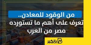 من الوقود للمعادن.. تعرف على أهم ما تستورده مصر من العرب | إنفوجراف