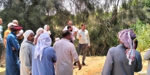 استخراج جذور الأشجار من شبكات قرية ميت أبو الكوم شرق الإسماعيلية