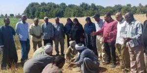 تحسين الأراضي ينفذ يوم حصاد لمحصول القمح بمركز ...