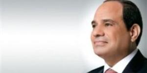 الرئيس السيسى: أكدنا ضرورة إنهاء العدوان على غزة فورا ووقف إطلاق النار