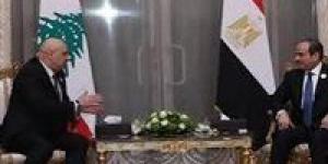 بعد لقاء اليوم.. تعرف على جهود مصر في دعم لبنان