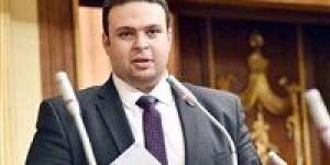 هل تتحول الحكومة إلى الدعم النقدي؟.. أمين خطة النواب يوضح