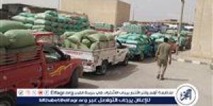 توريد 375 ألف طن من القمح بصوامع المحافظة منذ بدء موسم 2025
