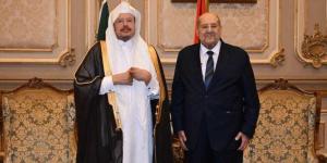 رئيس مجلس الشيوخ يشيد بتطور العلاقات الثنائية مع السعودية بما يحقق مصالح الشعبين