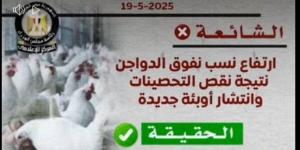 الحكومة تنفي انتشار فيروسات وبائية بين الدواجن ويؤكد على توافر التحصينات دون عجز
