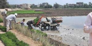 خطوات التقنيات الحديثة لزراعة الأرز آلياً